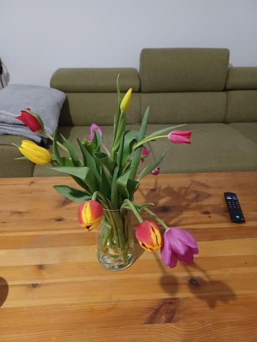 Sehr Zentral Gelegen Apartamento Viena Exterior foto