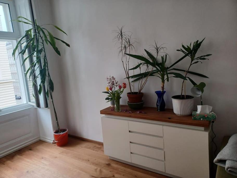 Sehr Zentral Gelegen Apartamento Viena Exterior foto